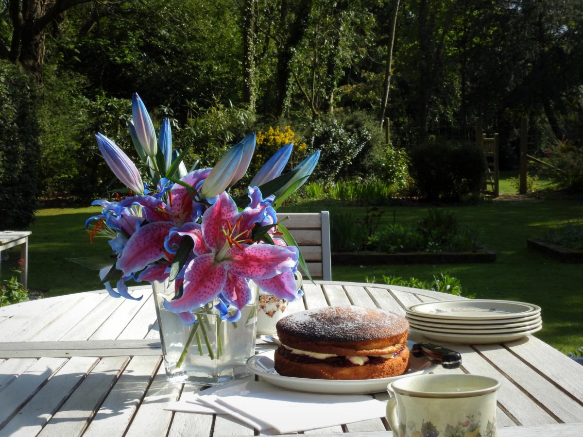 victoria-sandwich-sunny-easter-days-and-skips-5