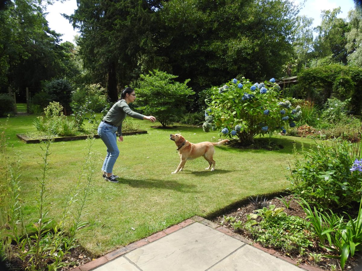 count-down-to-the-lovely-bank-holiday-weekend-7