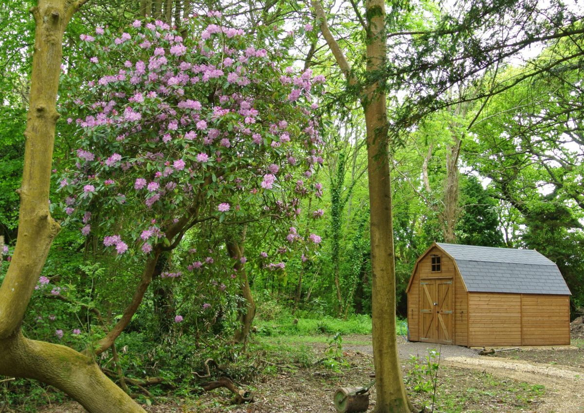 rhododendron-season-3