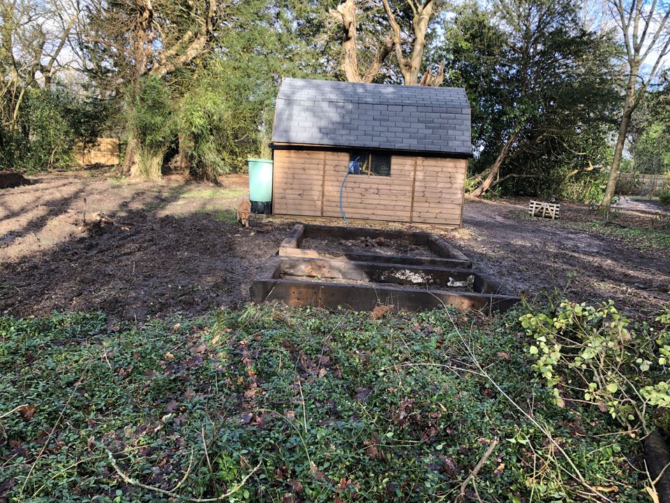 a-vegetable-garden-mud-diggers-and-travelling-in-hope-4
