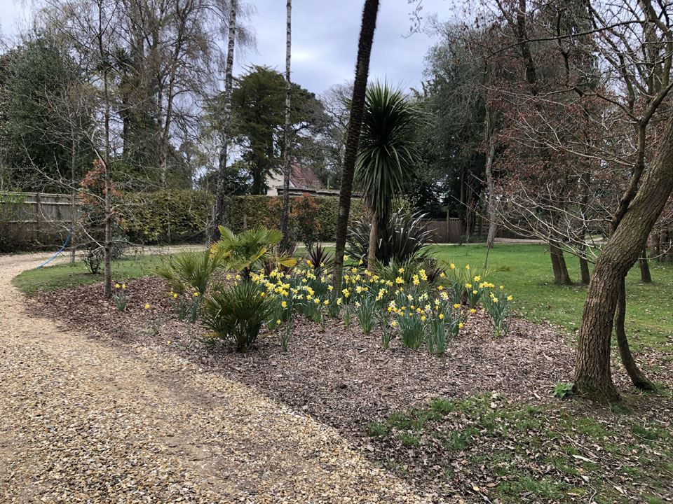 easter-opening-our-ngs-garden-and-ferns-lodge-vegetables-6