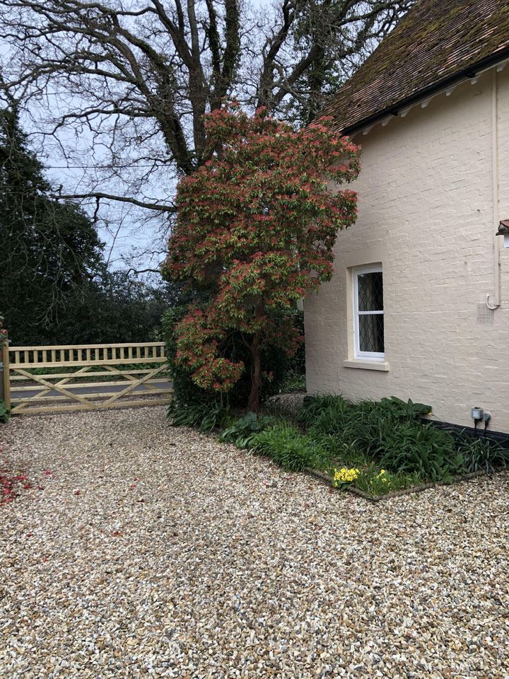 easter-at-ngs-garden-ferns-lodge-3