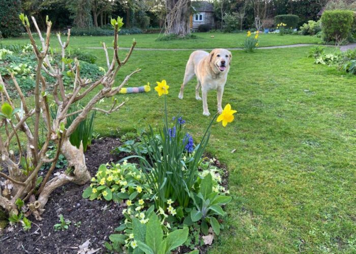 ferns-lodge-spring-tasks-meet-neighbours-1