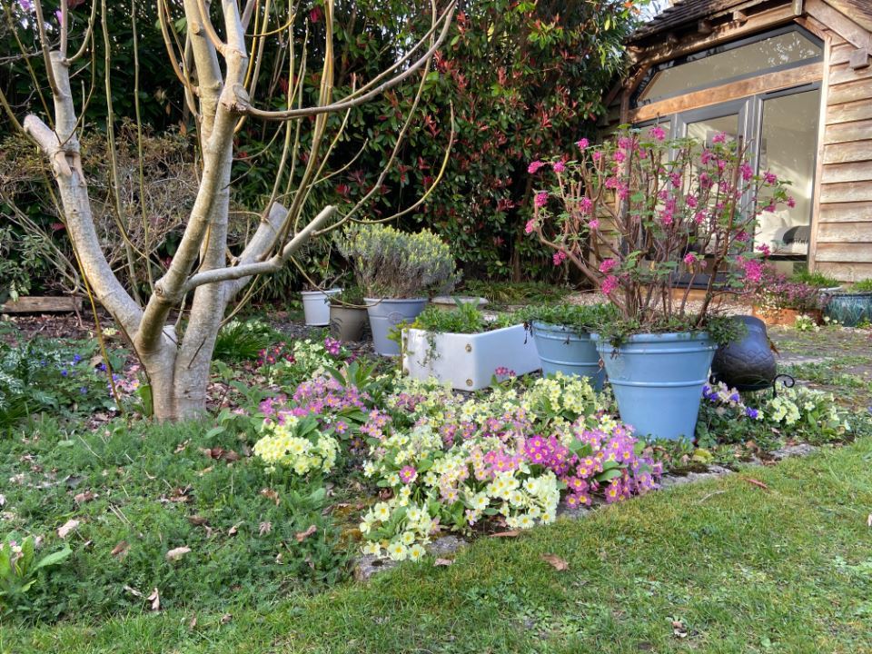 ferns-lodge-spring-tasks-meet-neighbours-2