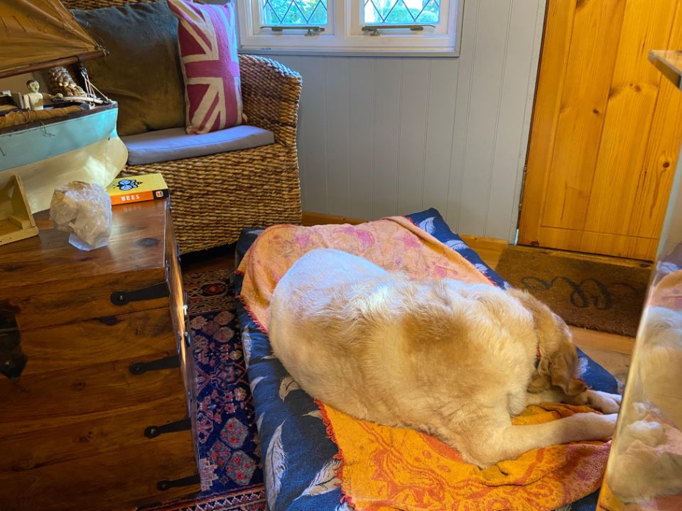 fall-fencing-winter-2