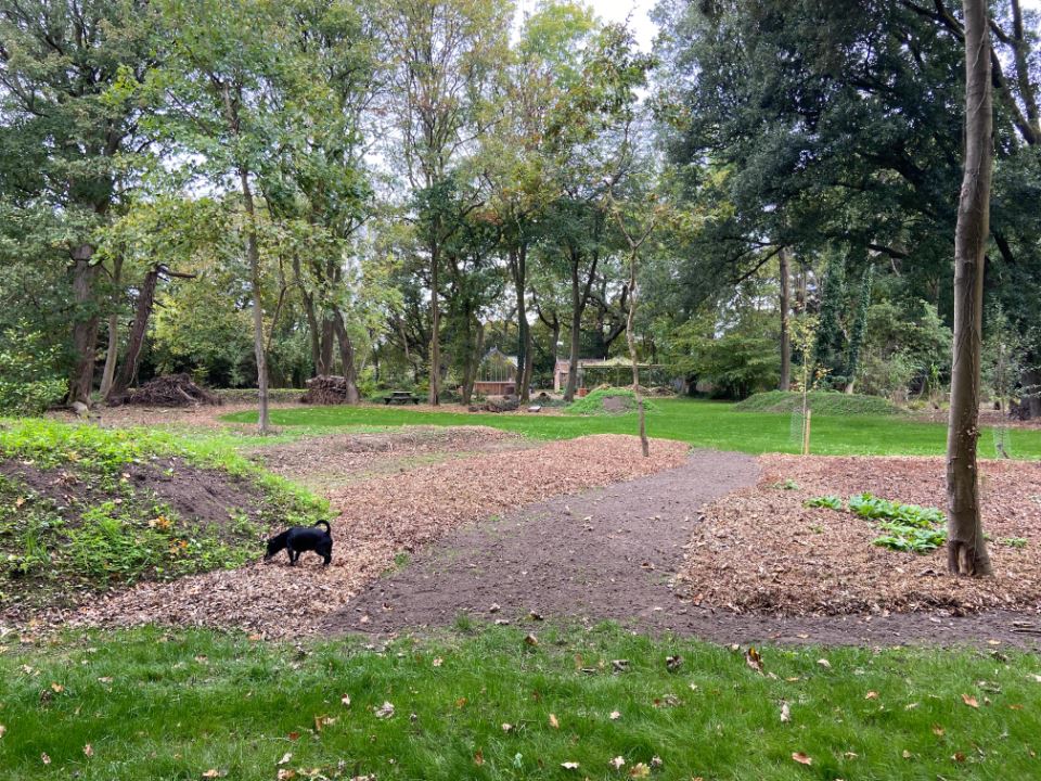 fall-fencing-winter-3