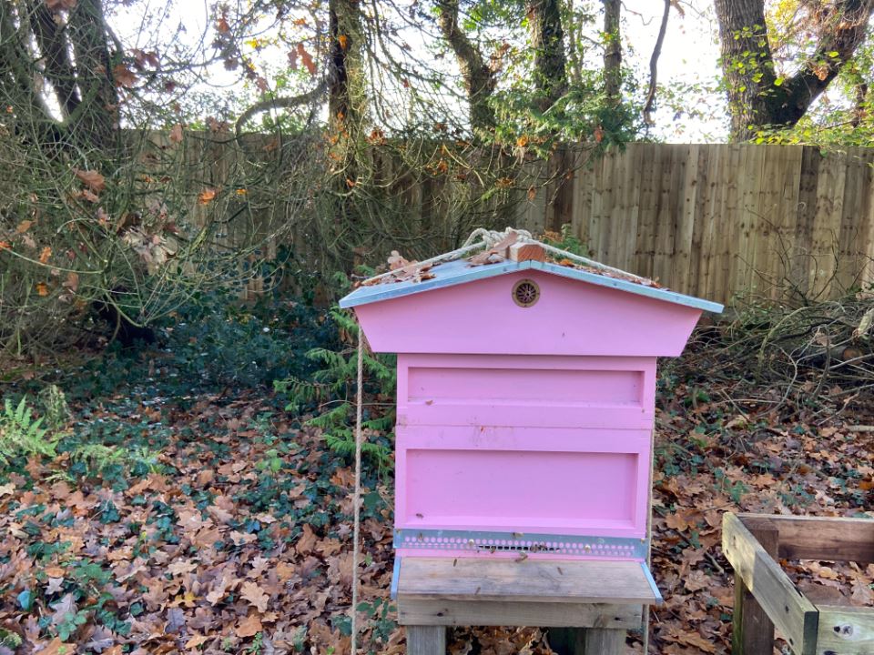 fall-fencing-winter-5