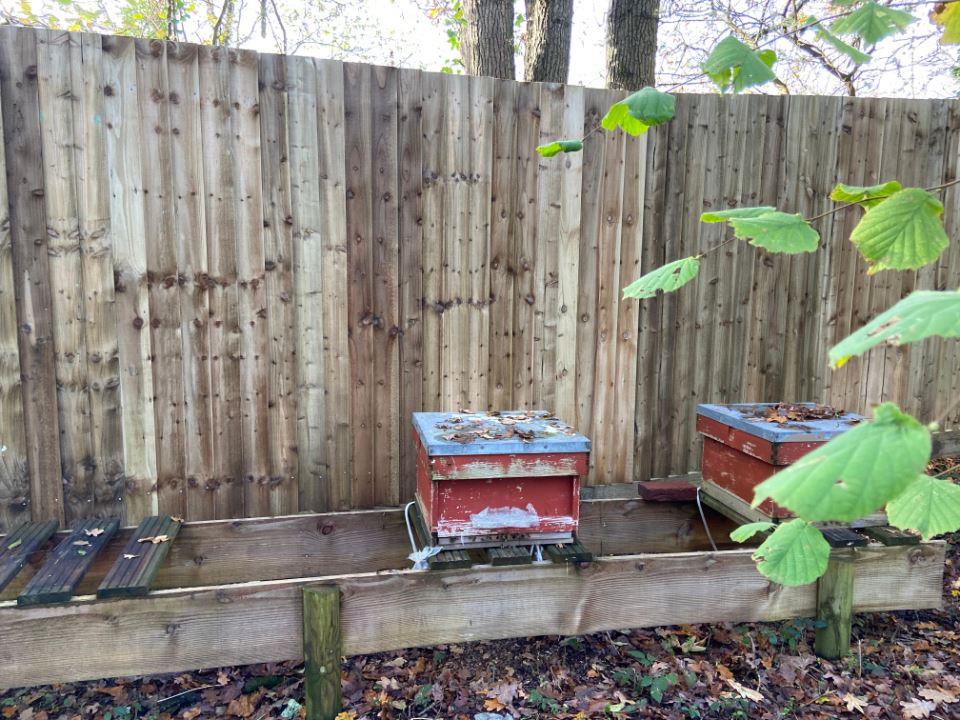 fall-fencing-winter-6