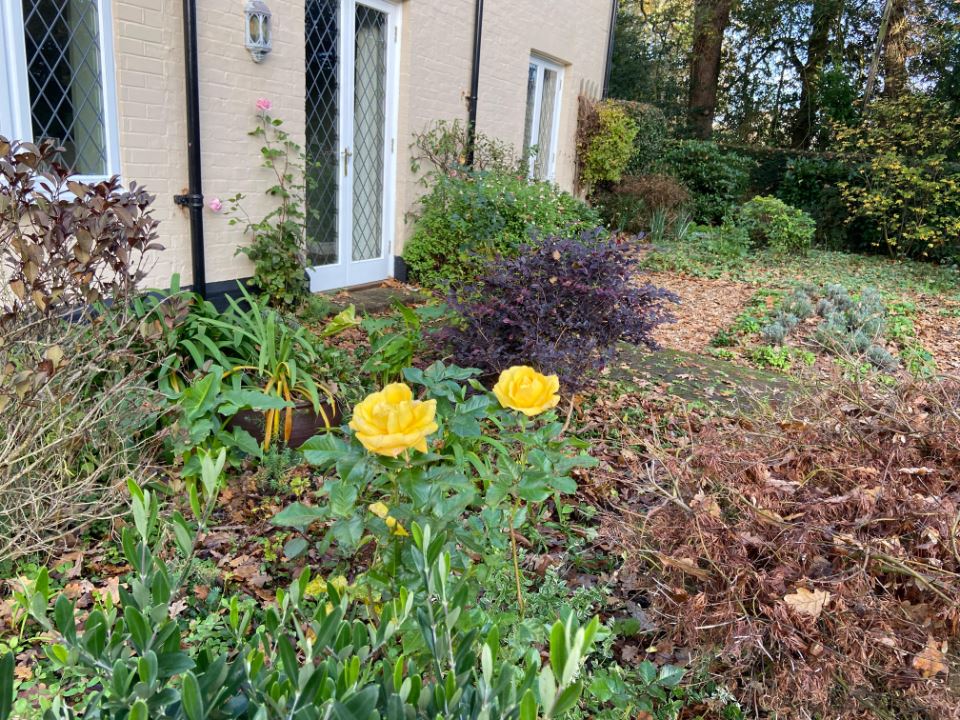 fall-fencing-winter-7