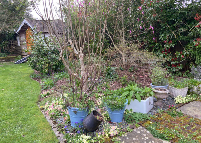 Full Time and Full Steam Ahead at NGS Garden Ferns Lodge!