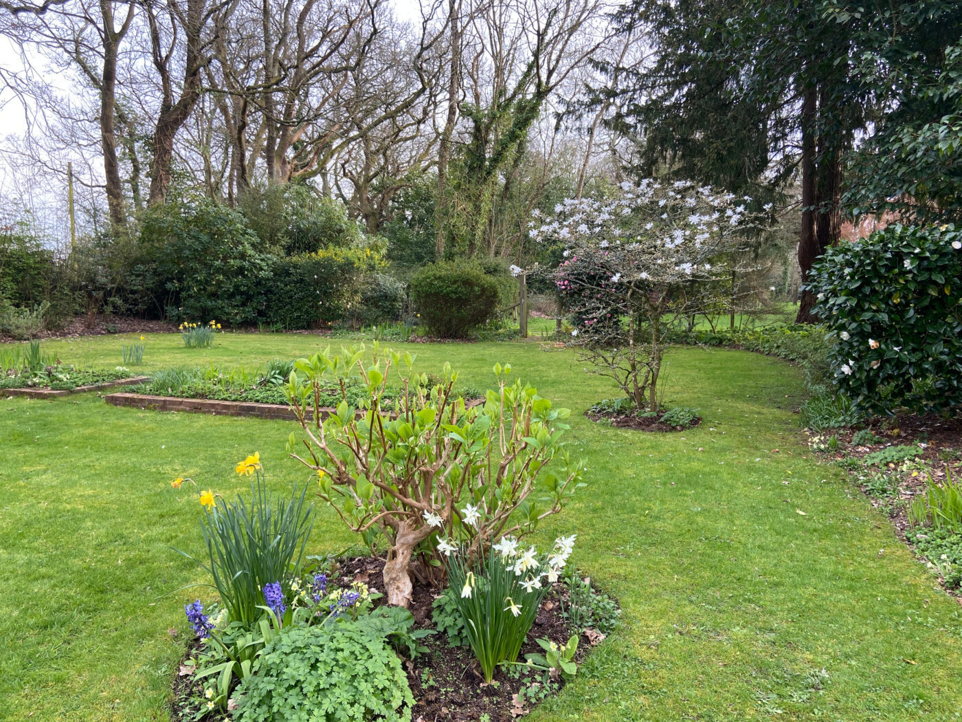 Full Time and Full Steam Ahead at NGS Garden Ferns Lodge!