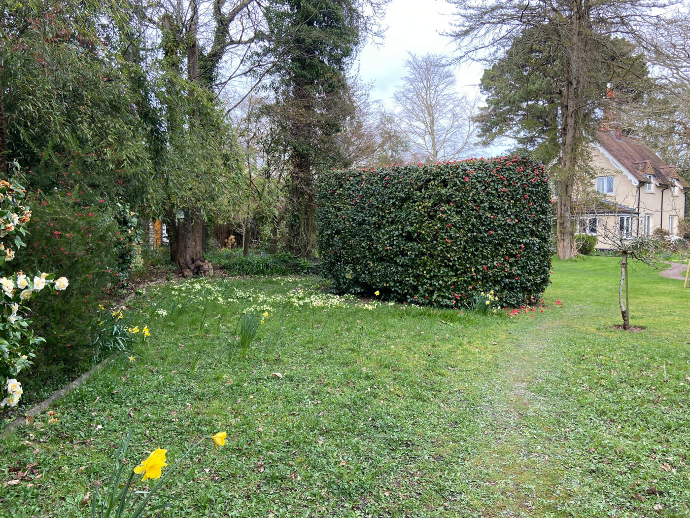 Full Time and Full Steam Ahead at NGS Garden Ferns Lodge!