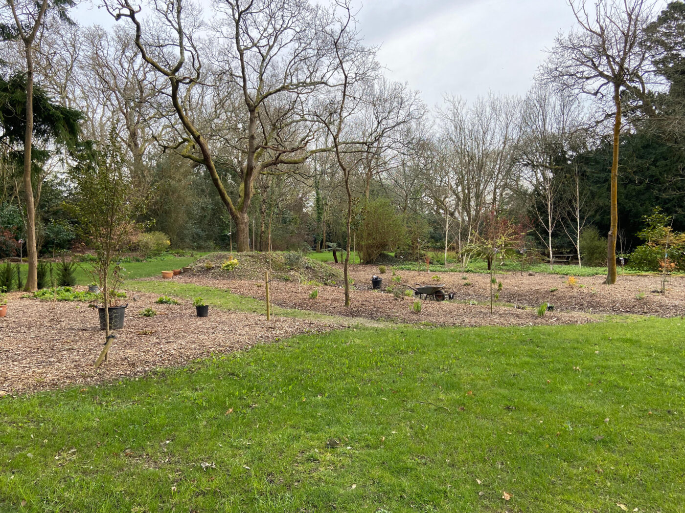 Full Time and Full Steam Ahead at NGS Garden Ferns Lodge!