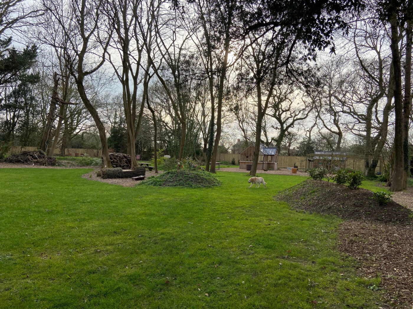 Full Time and Full Steam Ahead at NGS Garden Ferns Lodge!