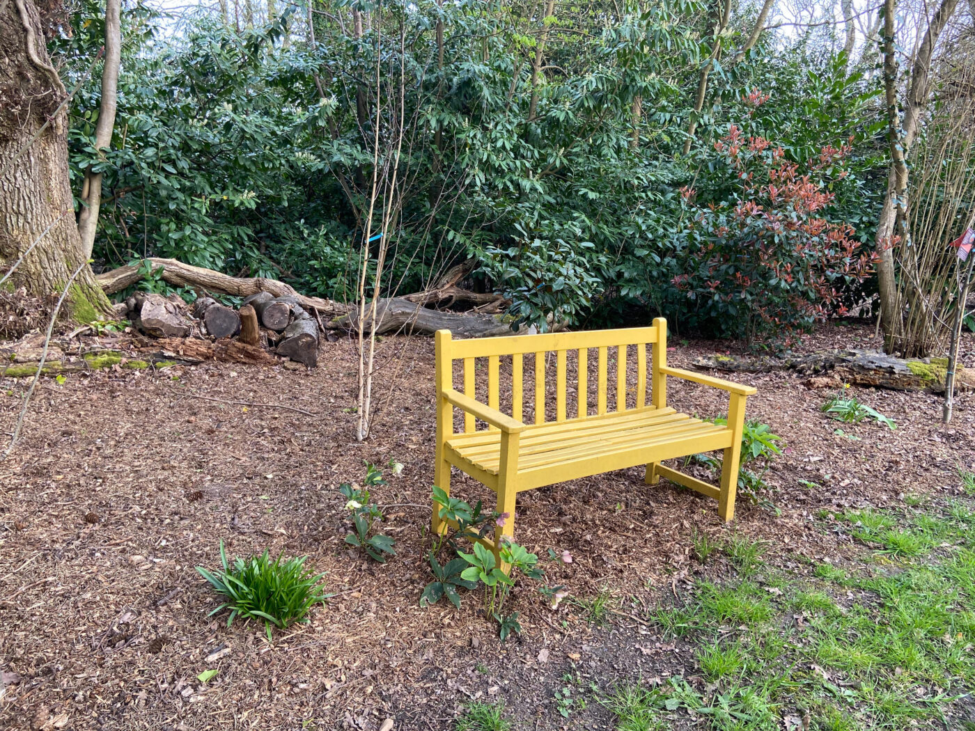 Full Time and Full Steam Ahead at NGS Garden Ferns Lodge!