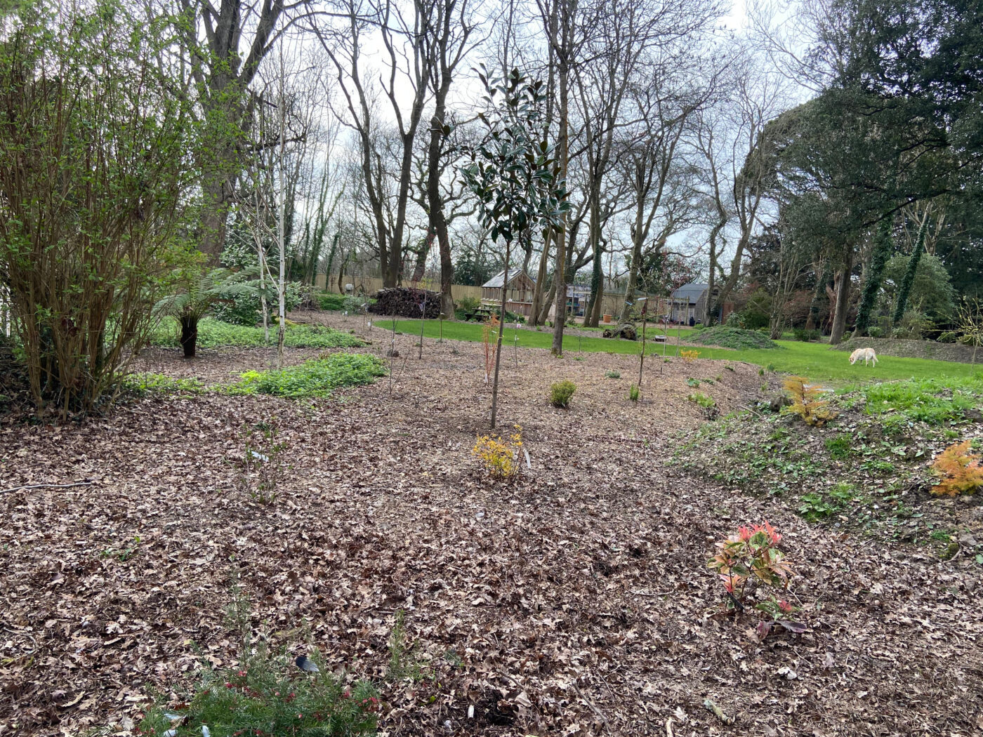 Full Time and Full Steam Ahead at NGS Garden Ferns Lodge!