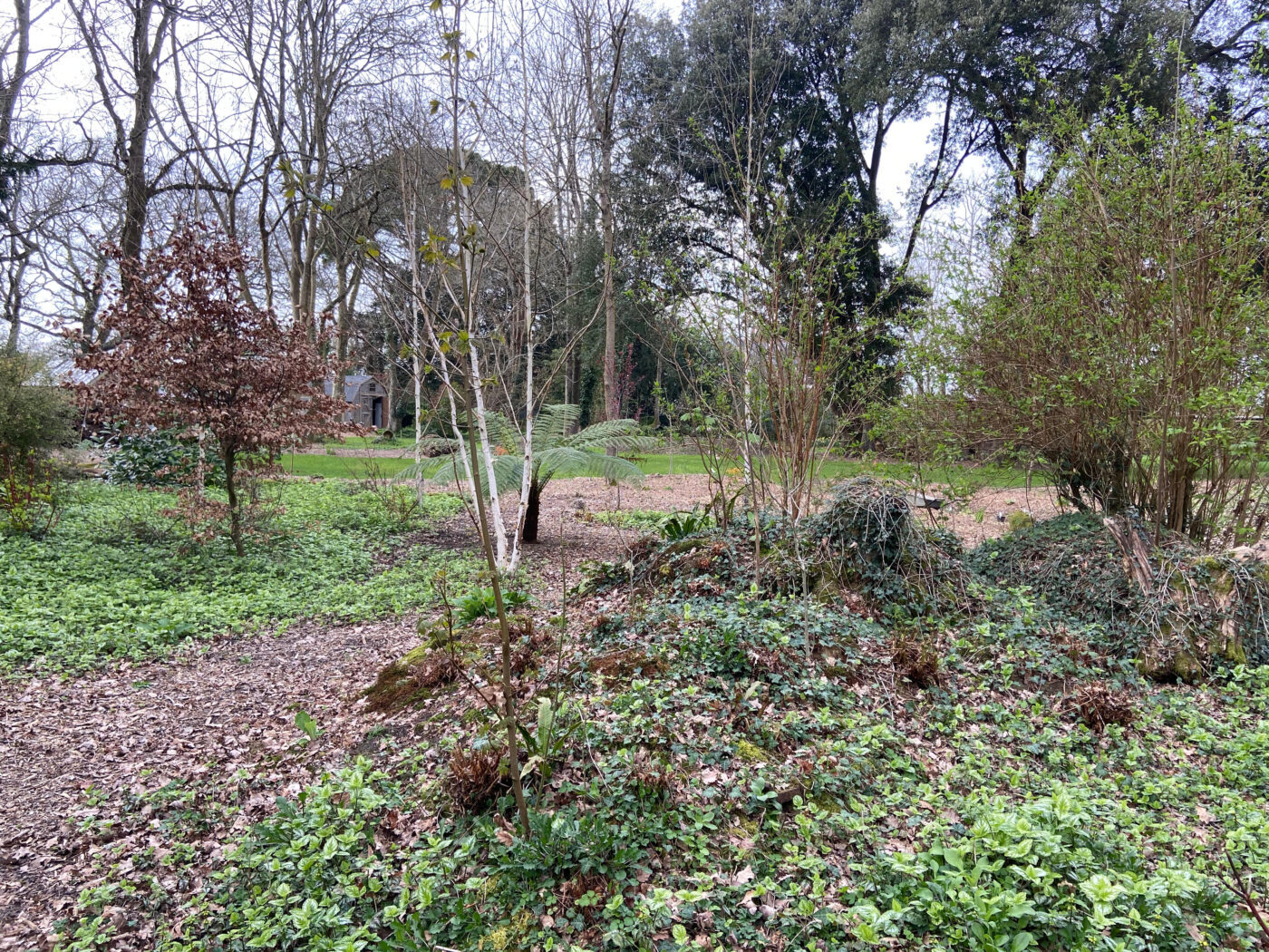 Full Time and Full Steam Ahead at NGS Garden Ferns Lodge!