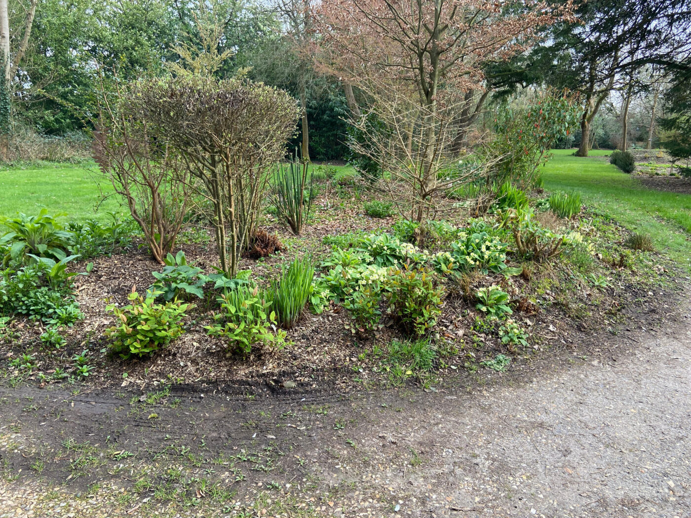 Full Time and Full Steam Ahead at NGS Garden Ferns Lodge!