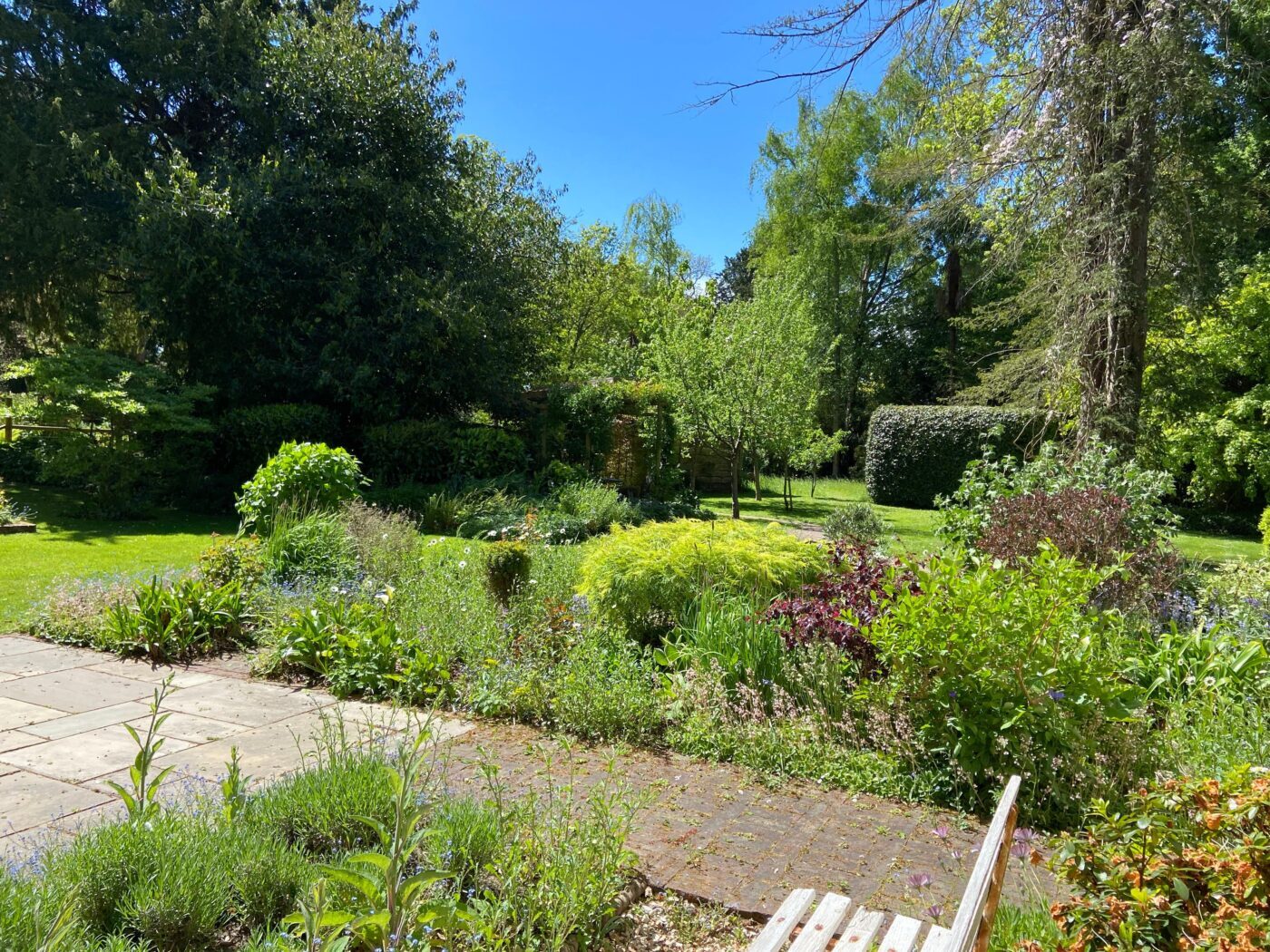Mission NGS Garden Ferns Lodge Opening Is On!