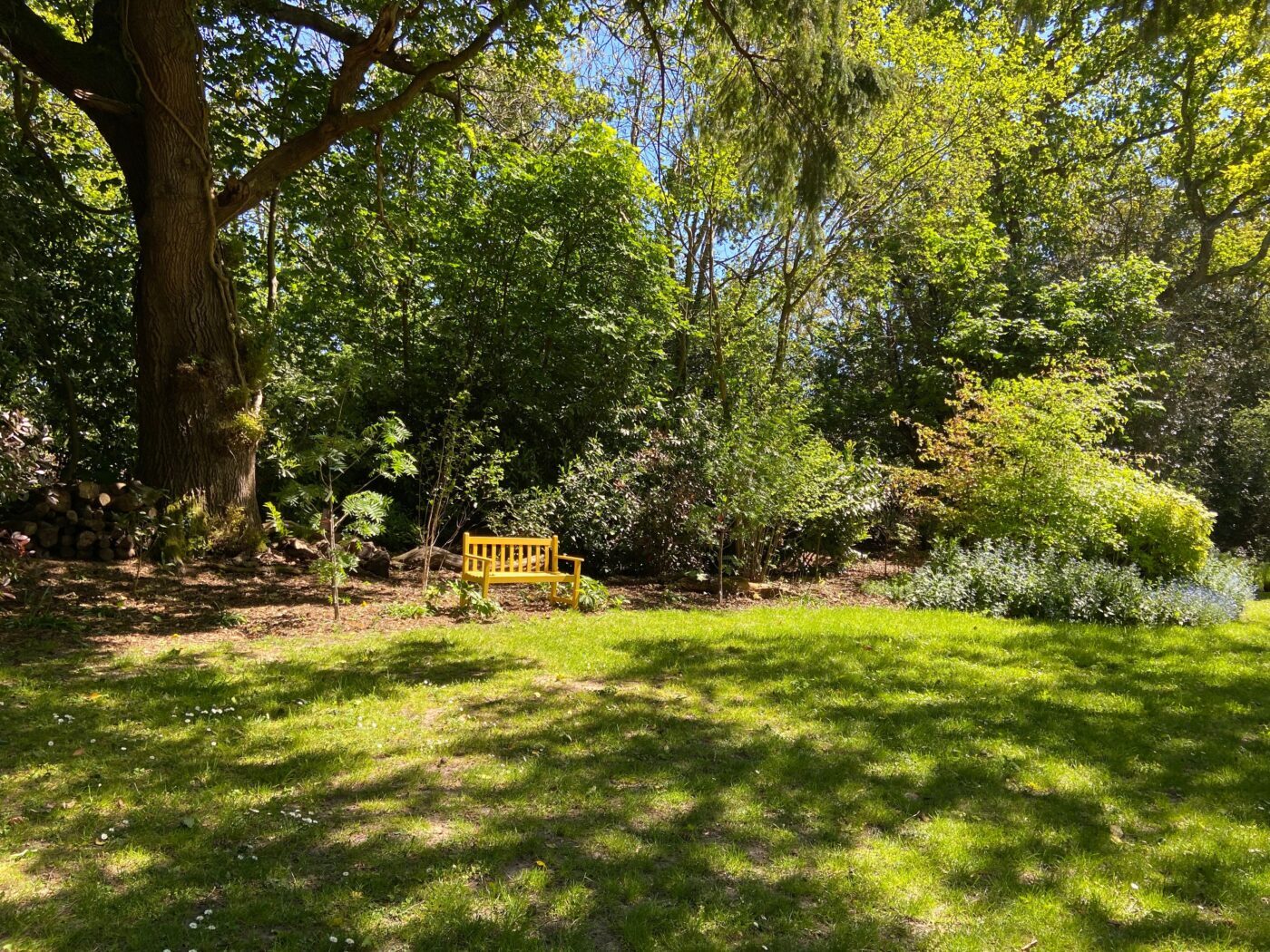Mission NGS Garden Ferns Lodge Opening Is On!