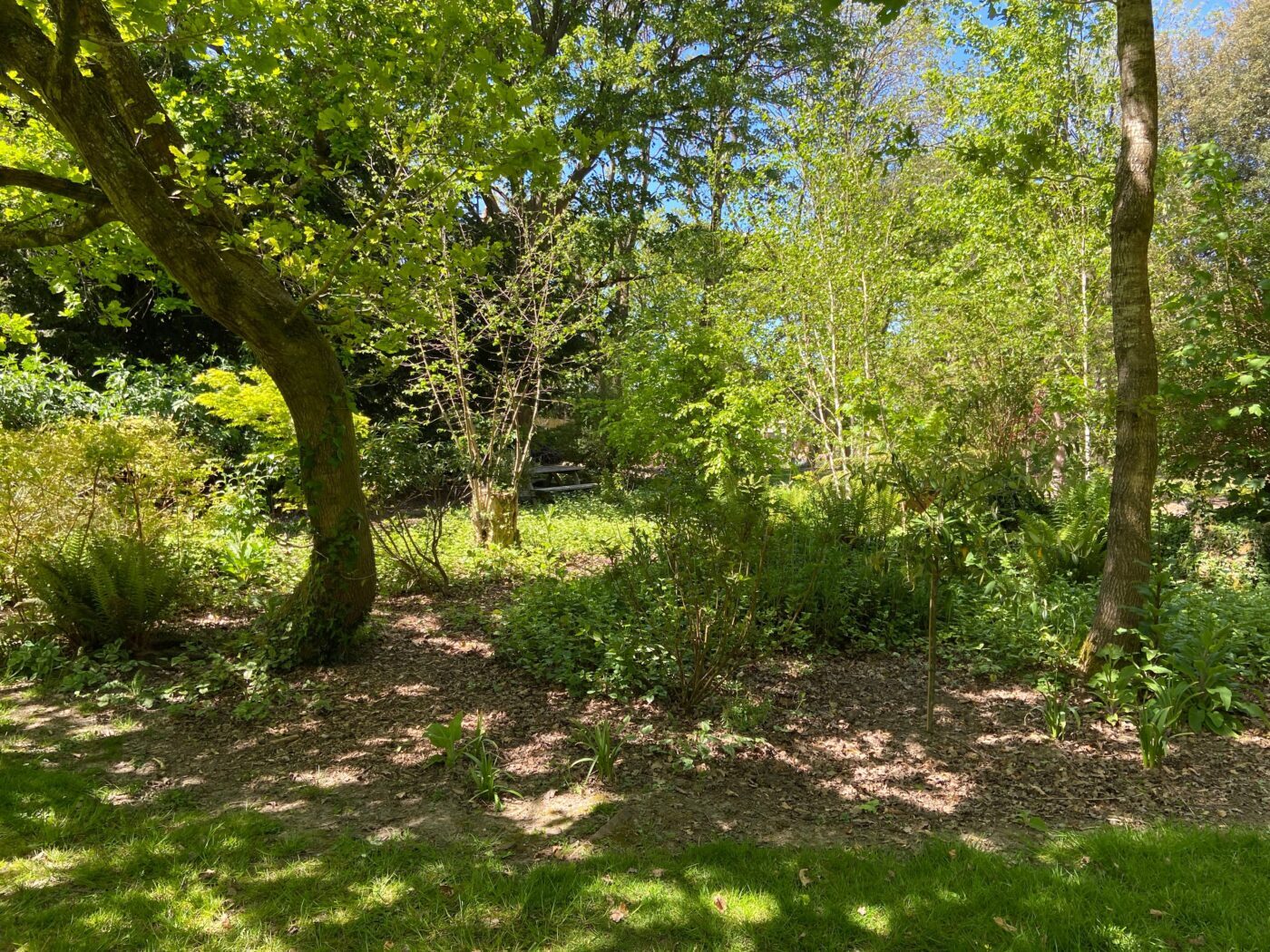 Mission NGS Garden Ferns Lodge Opening Is On!
