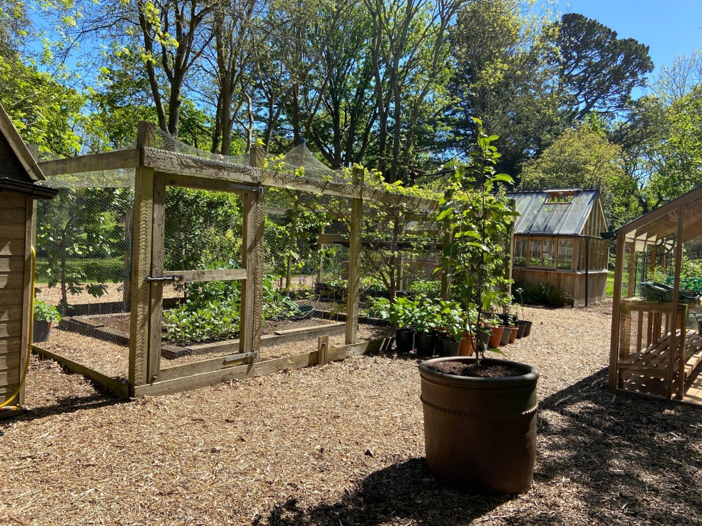Mission NGS Garden Ferns Lodge Opening Is On!
