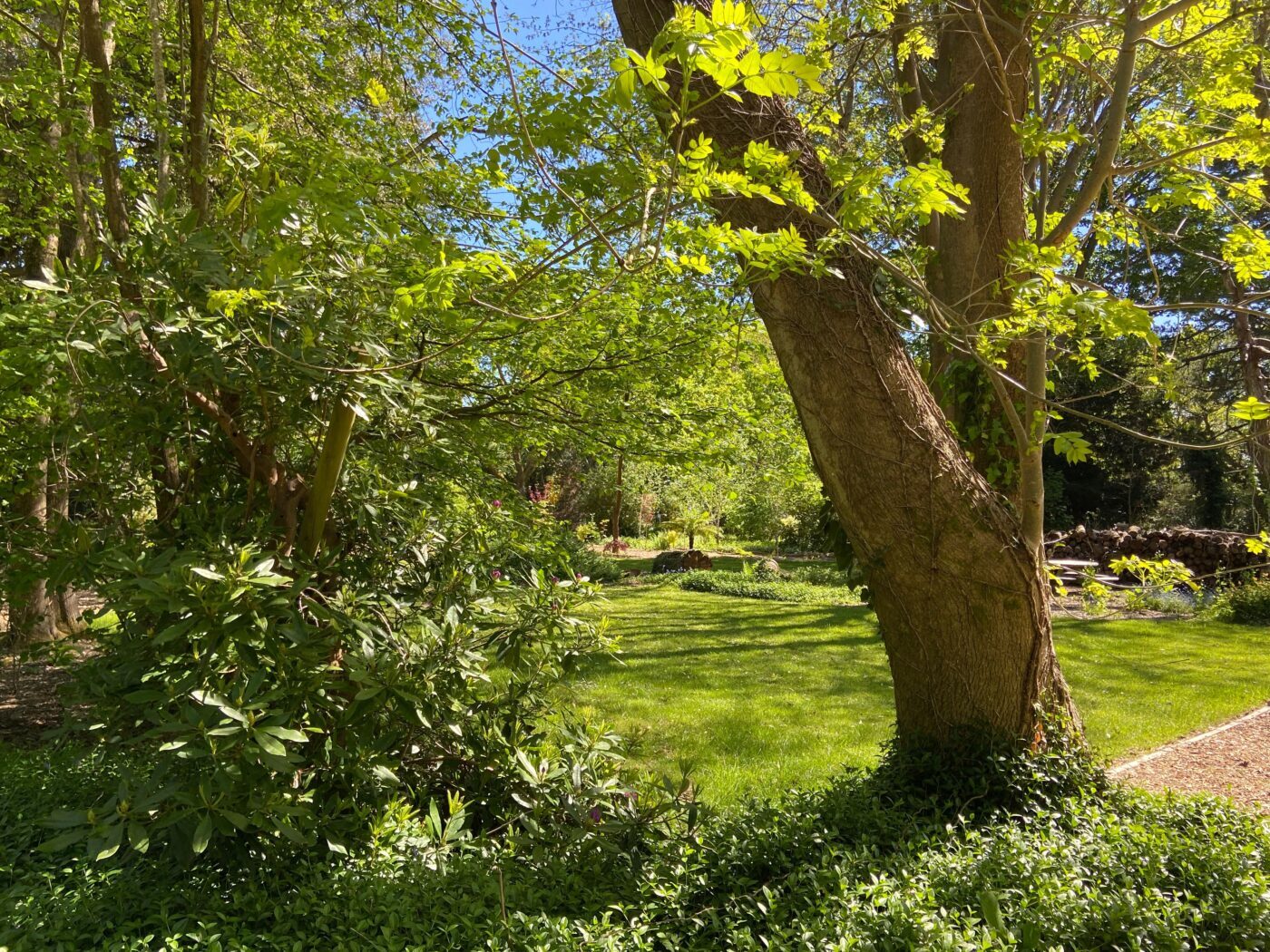 Mission NGS Garden Ferns Lodge Opening Is On!