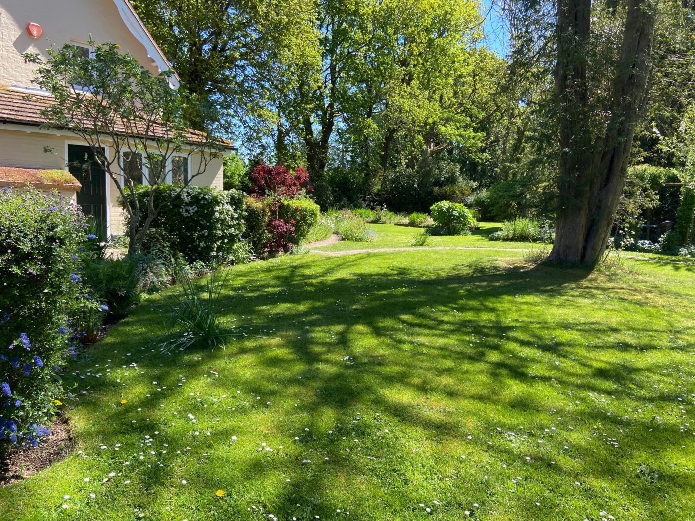 Mission NGS Garden Ferns Lodge Opening Is On!