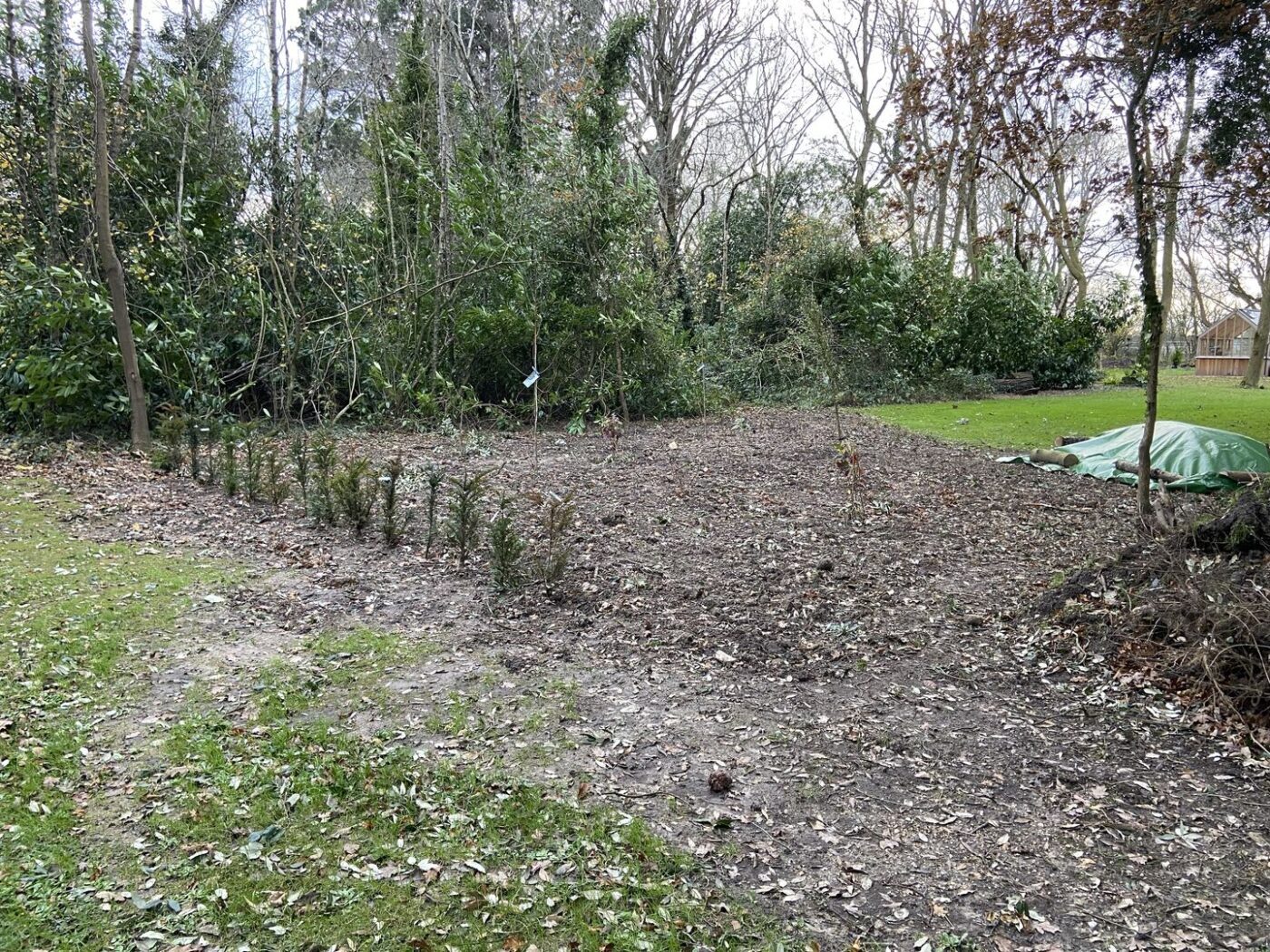 Ferns Lodge Garden Opening May 30 1