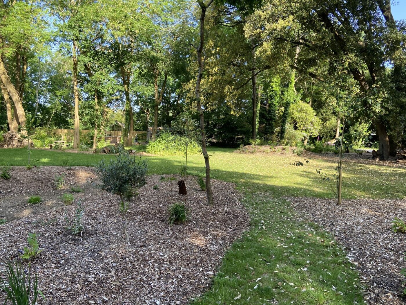 Ferns Lodge Garden Opening May 30 10