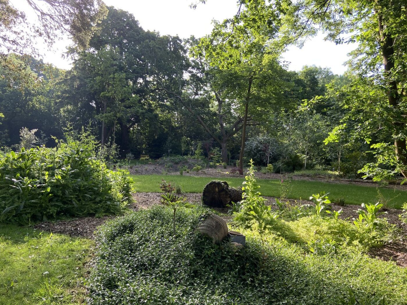 Ferns Lodge Garden Opening May 30 13