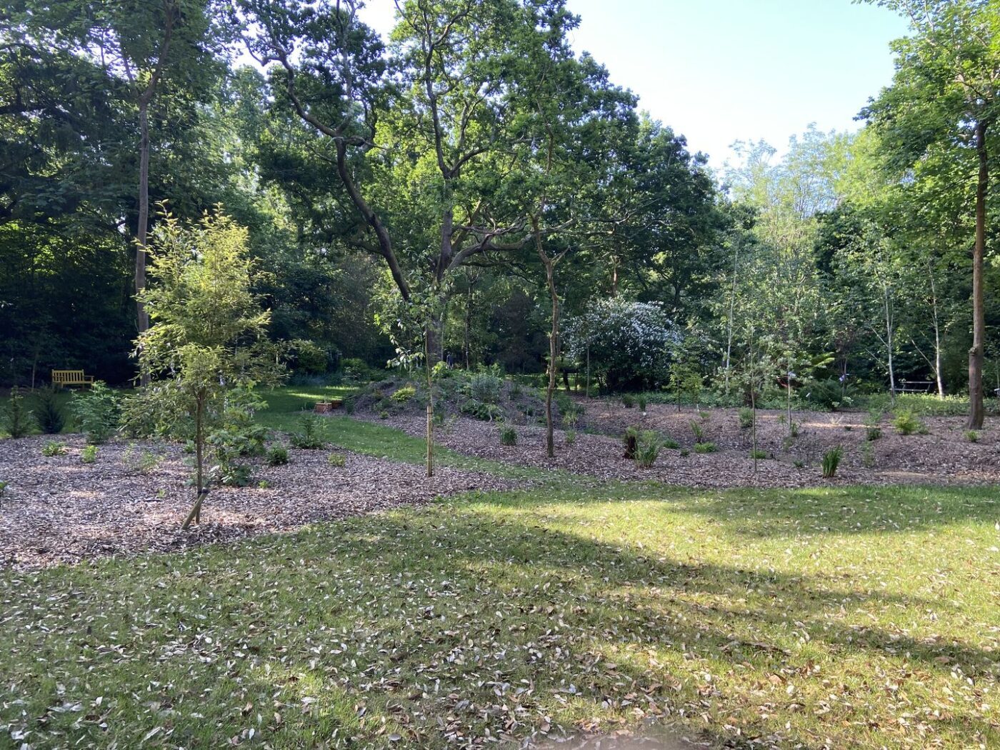Ferns Lodge Garden Opening May 30 14