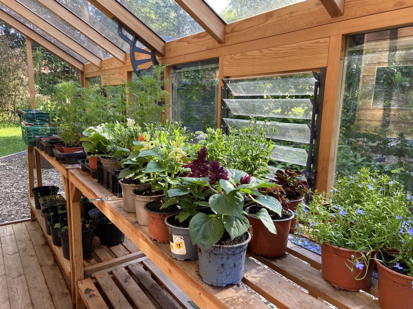 Ferns Lodge Garden Opening May 30 16