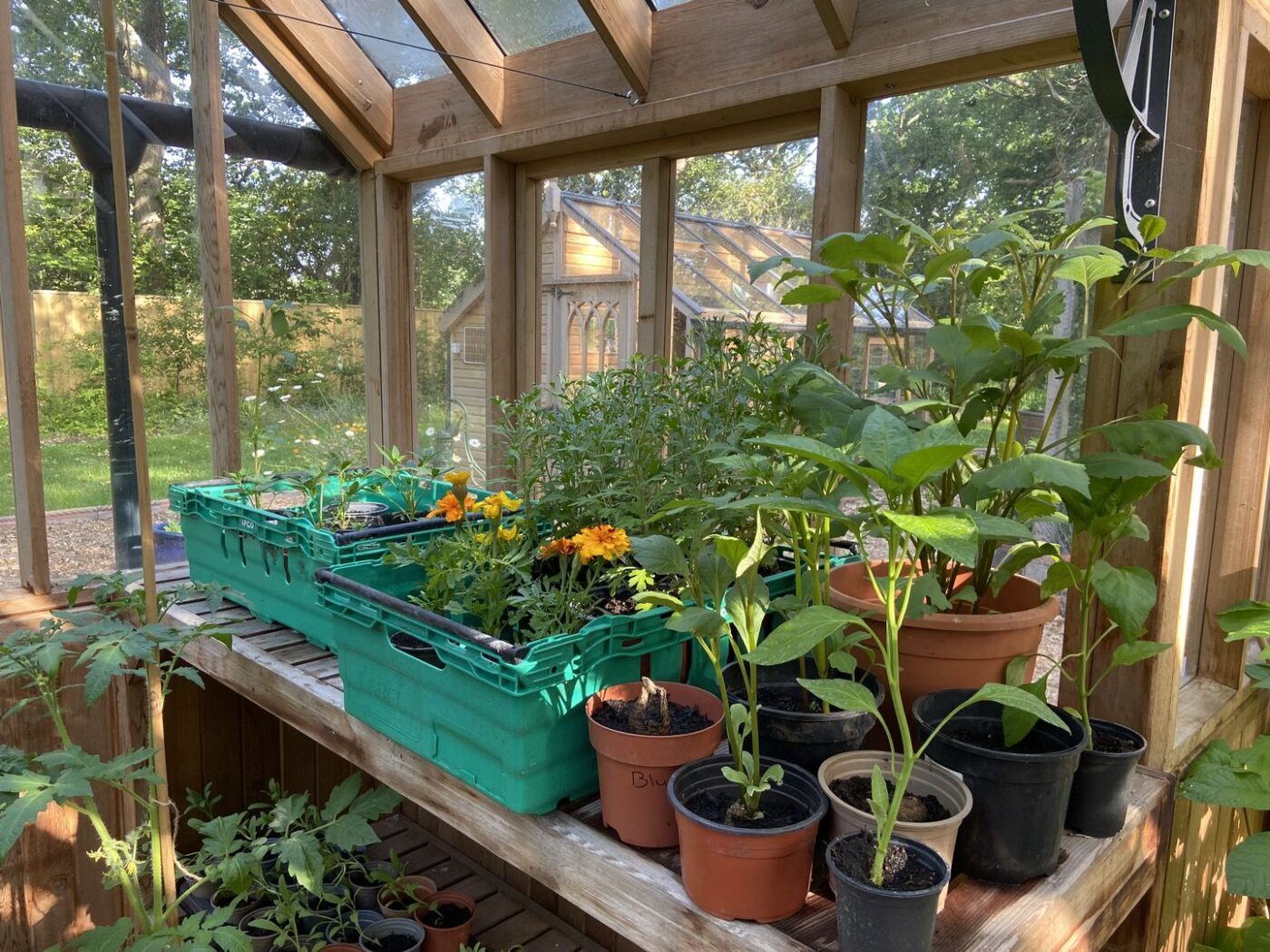 Ferns Lodge Garden Opening May 30 17