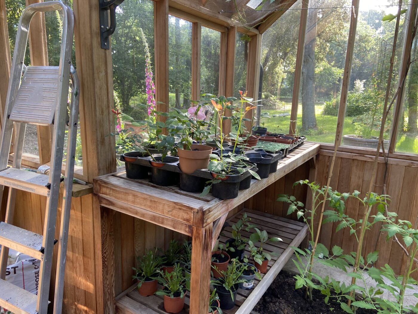 Ferns Lodge Garden Opening May 30 18