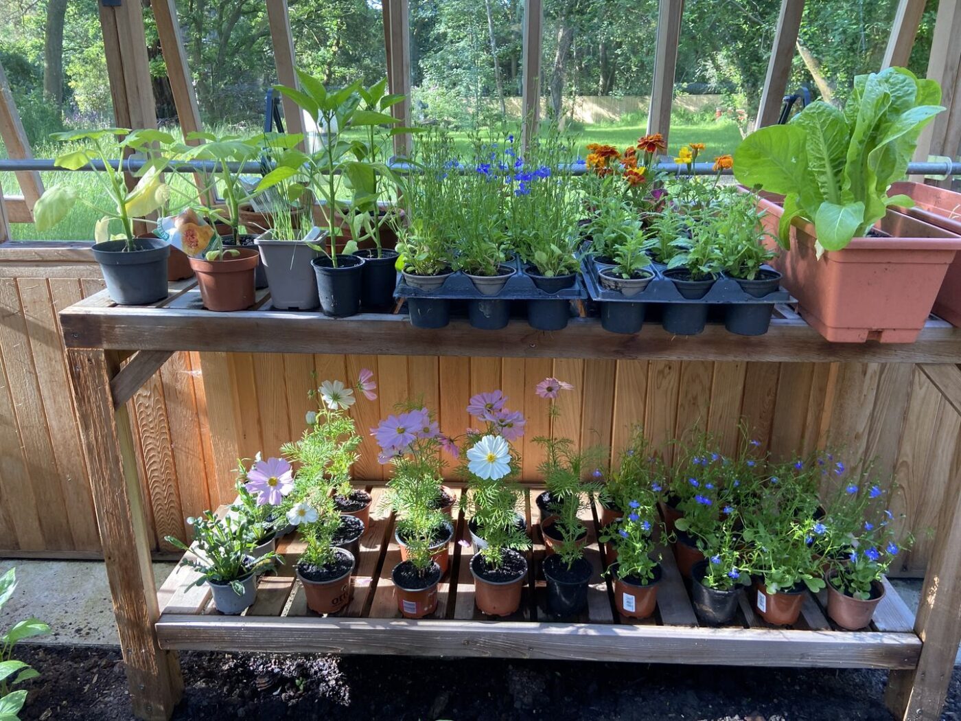 Ferns Lodge Garden Opening May 30 19