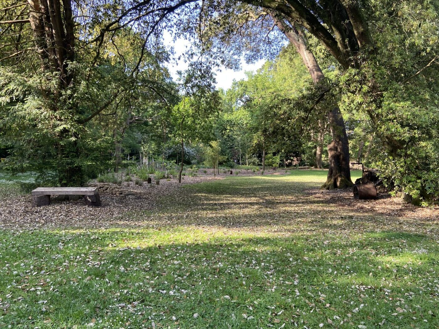 Ferns Lodge Garden Opening May 30 8