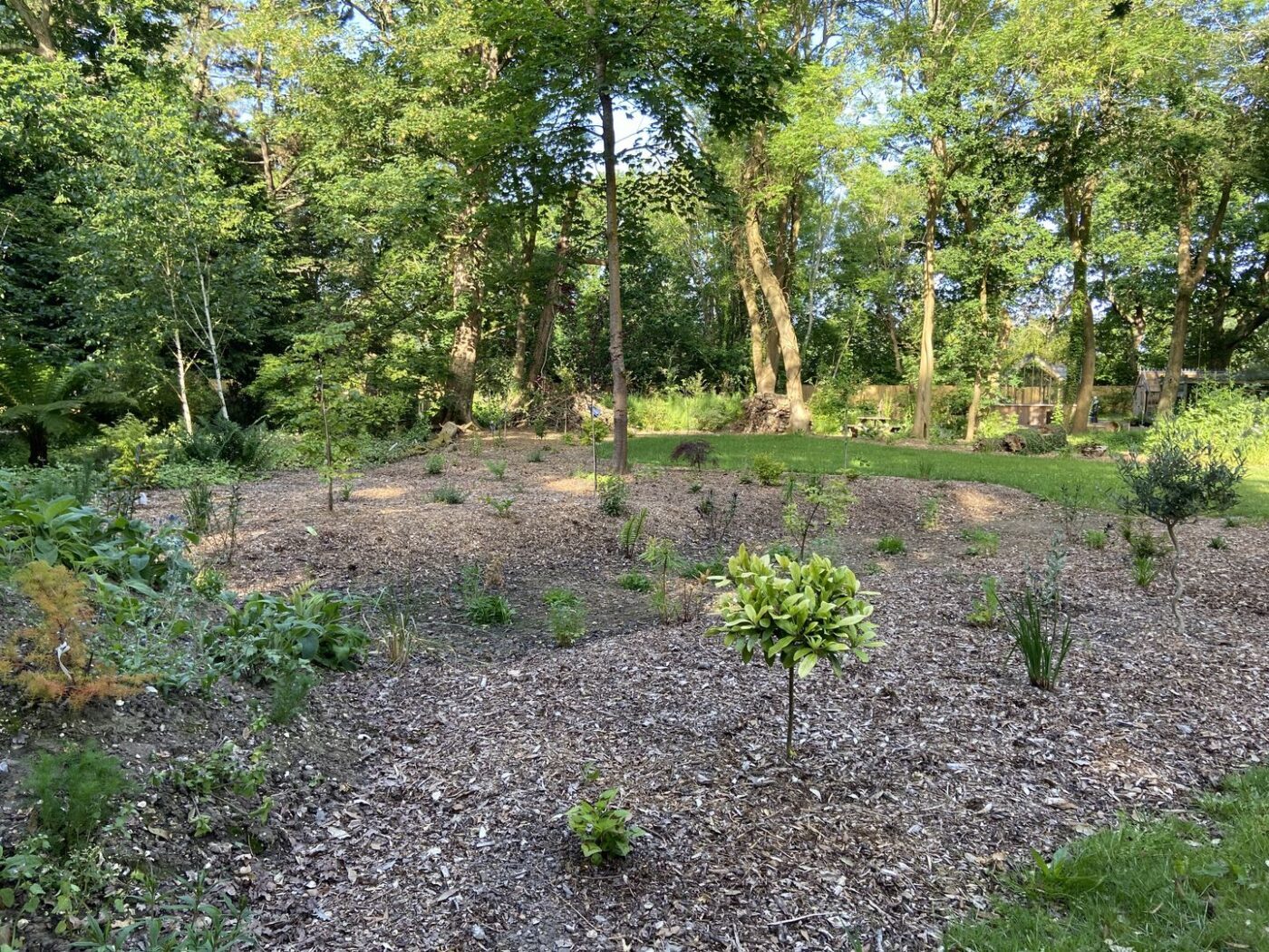 Ferns Lodge Garden Opening May 30 9